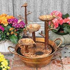 Serenity Songbird Water Fountain Image 1