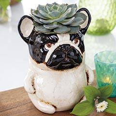 Frenchie Succulent Planter Image 1