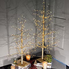 Golden Lit Trees Image 2