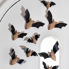 Charming Bat Colony Image 4